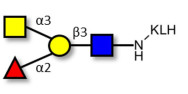 Blood group A antigen tetraose type 1 grafted on KLH