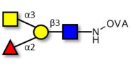 Blood group A antigen tetraose type 1 grafted on OVA