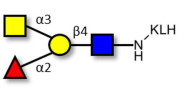 Blood group A antigen tetraose type 2 grafted on KLH