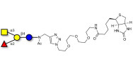 Blood group A antigen tetraose type 5 linked to biotin (Linker-BT A)