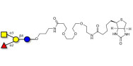 Blood group A antigen tetraose type 5 linked to biotin (Linker-BT C)