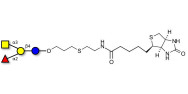 Blood group A antigen tetraose type 5 linked to biotin (Linker-BT D)