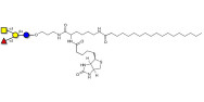 Blood group A antigen tetraose type 5 linked to biotin and stearic chain (Linker-BT-STEA A)