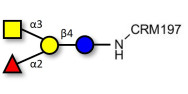 Blood group A antigen tetraose type 5 grafted on CRM197