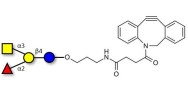 Blood group A antigen tetraose type 5 with DBCO (Linker-DBCO A)