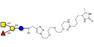 Blood group A antigen tetraose type 5 linked to desthiobiotin (Linker-DBT-A)