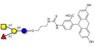 Blood group A antigen tetraose type 5 linked to fluorescein (Linker-FLUO A)