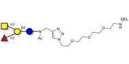 Blood group A antigen tetraose type 5 grafted on gel for affinity chromatography (Linker-GEL A)