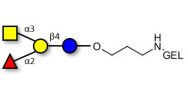 Blood group A antigen tetraose type 5 grafted on gel for affinity chromatography (Linker-GEL B)