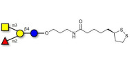 Blood group A antigen tetraose type 5 with cyclic di-thiol (Linker-LIPO A)