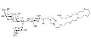 Blood group A antigen tetraose type 5 with free terminal amine (Linker-NH2 D)