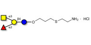 Blood group A antigen tetraose type 5 linked to amine (Linker-NH2-E )