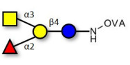 Blood group A antigen tetraose type 5 grafted on OVA
