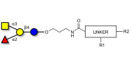 Blood group A antigen tetraose type 5 with customizable dual functionalization 