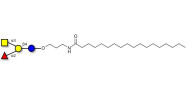 Blood group A antigen tetraose type 5 with stearic chain (Linker-STEA A)