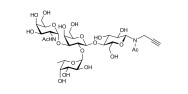 Blood group A antigen tetraose type 5 with terminal alkyne (Linker-CΞCH A)