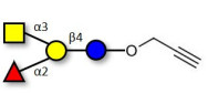 Blood group A antigen tetraose type 5 with terminal alkyne (Linker-CΞCH B)
