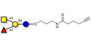 Blood group A antigen tetraose type 5 with terminal alkyne (Linker-CΞCH C)