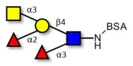 Blood group A Lewis y antigen pentaose type 2 grafted on BSA
