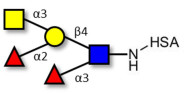 Blood group A Lewis y antigen pentaose type 2 grafted on HSA