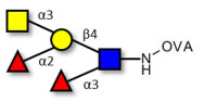Blood group A Lewis y antigen pentaose type 2 grafted on OVA