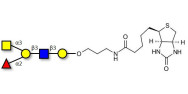 Blood group A antigen pentaose type 1 linked to biotin (Linker-BT B)