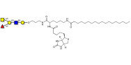 Blood group A antigen pentaose type 1 linked to biotin and stearic chain (Linker-BT-STEA A)