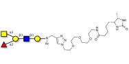 Blood group A antigen pentaose type 1 linked to desthiobiotin (Linker-DBT-A)