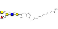 Blood group A antigen pentaose type 1 grafted on gel for affinity chromatography (Linker-GEL A)