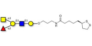 Blood group A antigen pentaose type 1 with cyclic di-thiol (Linker-LIPO A)