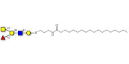 Blood group A antigen pentaose type 1 with stearic chain (Linker-STEA A)