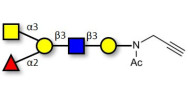 Blood group A antigen pentaose type 1 with terminal alkyne (Linker-CΞCH A)