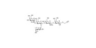 Blood group A antigen pentaose type 1 with terminal alkyne (Linker-CΞCH B)