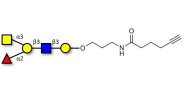 Blood group A antigen pentaose type 1 with terminal alkyne (Linker-CΞCH C)