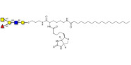 Blood group A antigen pentaose type 2 linked to biotin and stearic chain (Linker-BT-STEA A)
