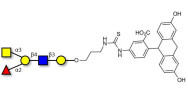 Blood group A antigen pentaose type 2 linked to fluorescein (Linker-FLUO A)