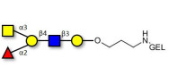 Blood group A antigen pentaose type 2 grafted on gel for affinity chromatography (Linker-GEL B)