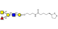 Blood group A antigen pentaose type 2 with cyclic di-thiol (Linker-LIPO A)