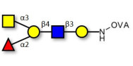 Blood group A antigen pentaose type 2 grafted on OVA