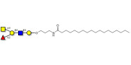 Blood group A antigen pentaose type 2 with stearic chain (Linker-STEA A)