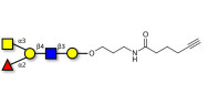 Blood group A antigen pentaose type 2 with terminal alkyne (Linker-CΞCH C)