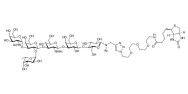 Blood group A antigen hexaose type 1 linked to biotin (Linker-BT A)
