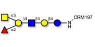 Blood group A antigen hexaose type 1 grafted on CRM197