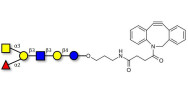 Blood group A antigen hexaose type 1 with DBCO (Linker-DBCO A)
