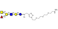 Blood group A antigen hexaose type 1 grafted on gel for affinity chromatography (Linker-GEL A)