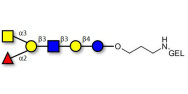 Blood group A antigen hexaose type 1 grafted on gel for affinity chromatography (Linker-GEL B)