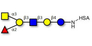 Blood group A antigen hexaose type 1 grafted on HSA