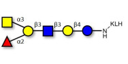 Blood group A antigen hexaose type 1 grafted on KLH