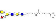 Blood group A antigen hexaose type 1 with cyclic di-thiol (Linker-LIPO A)