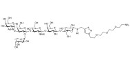 Blood group A antigen hexaose type 1 with free terminal amine (Linker-NH2 B)